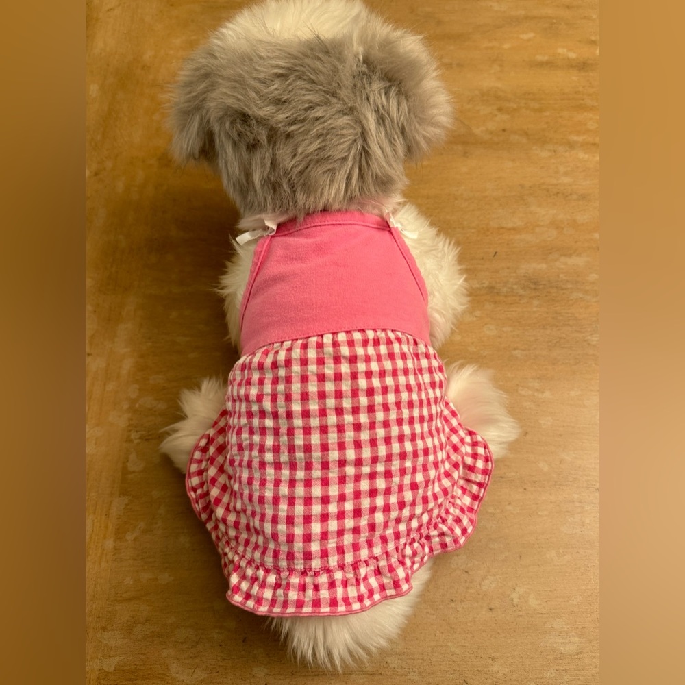 Pink gingham doggie dress with shoulder ribbon detail in size small